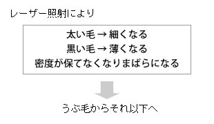 レーザー効果の仕組み